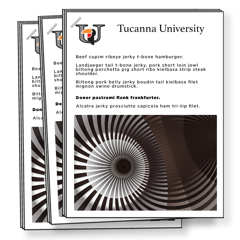 digital color and black and white copies